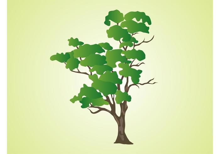 Vector Tree Vector Tree