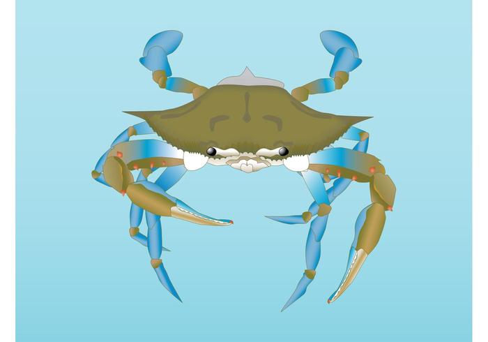 Vector Crab