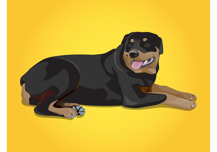 Rottweiler Vector Rottweiler Vector