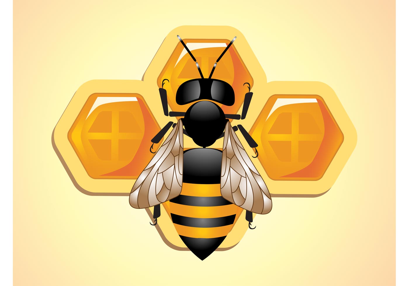 Download Bee Vector - Download Free Vector Art, Stock Graphics & Images
