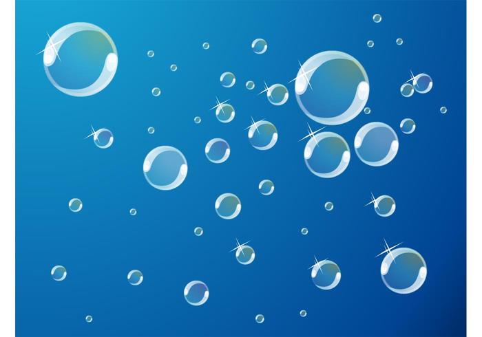 Soap Bubbles Vector Soap Bubbles Vector