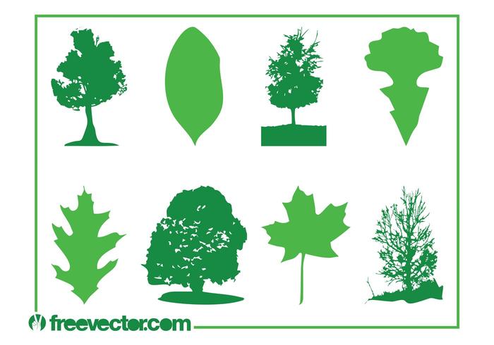 Leaves And Trees Leaves And Trees