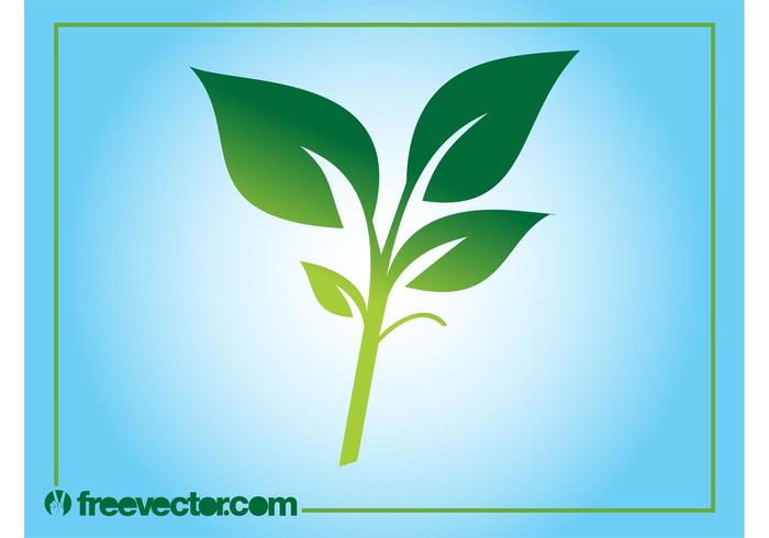 Plant Silhouette Graphics Plant Silhouette Graphics