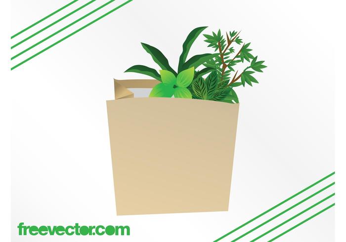 Plants In Paper Bag Plants In Paper Bag