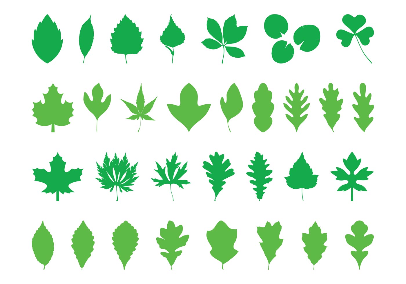 Листья разного оттенка зеленого