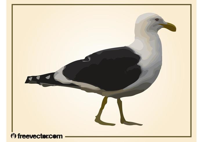 Walking Seagull Walking Seagull
