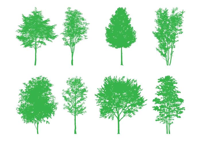 Tree Silhouettes Set Tree Silhouettes Set