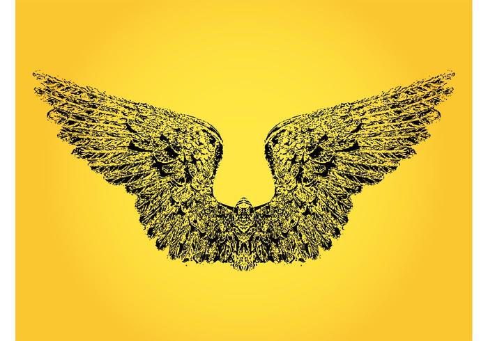 Bird Wings Drawing Bird Wings Drawing