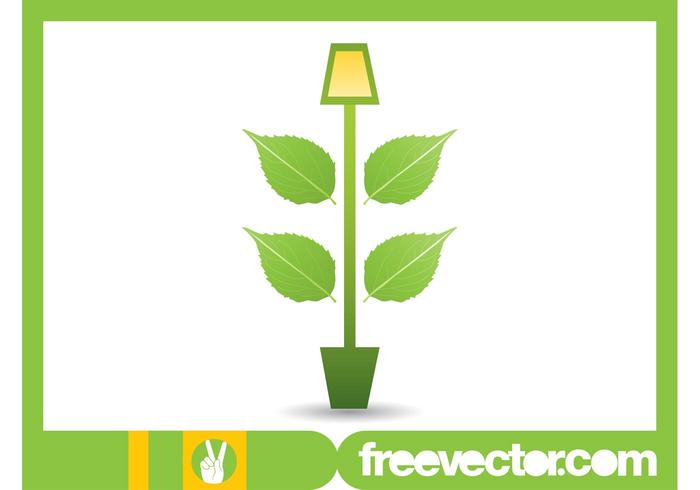 Potted Plant Image Potted Plant Image