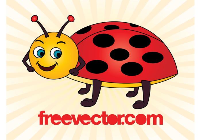 Cartoon Ladybird Cartoon Ladybird
