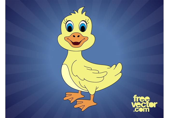 Cartoon Duck Cartoon Duck