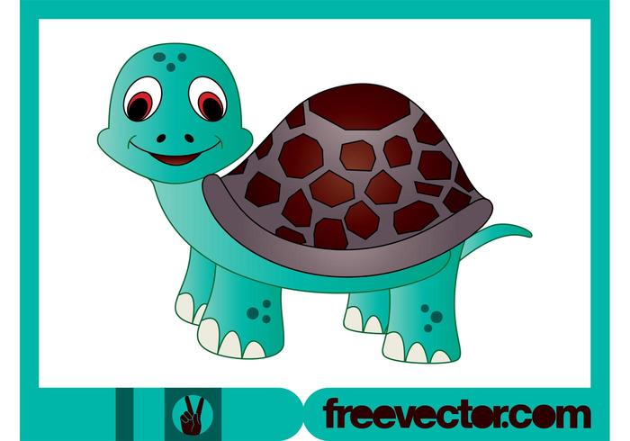 Cartoon Turtle Character Cartoon Turtle Character