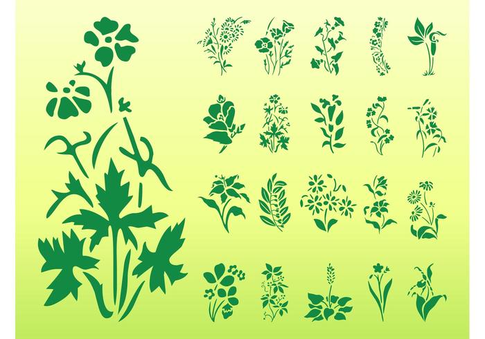 Flowers Silhouettes Graphics