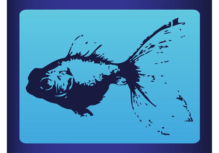 Fish Graphics Fish Graphics
