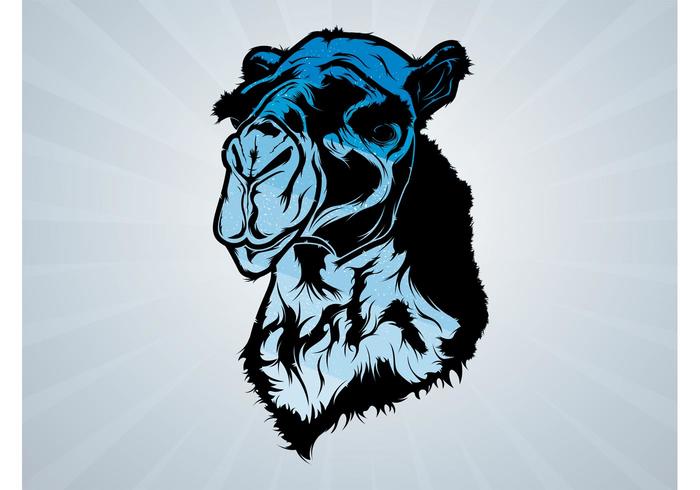 Blue Camel Head Blue Camel Head