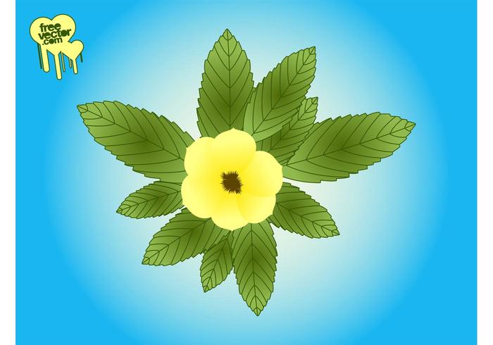 Flower And Leaves Graphics Flower And Leaves Graphics