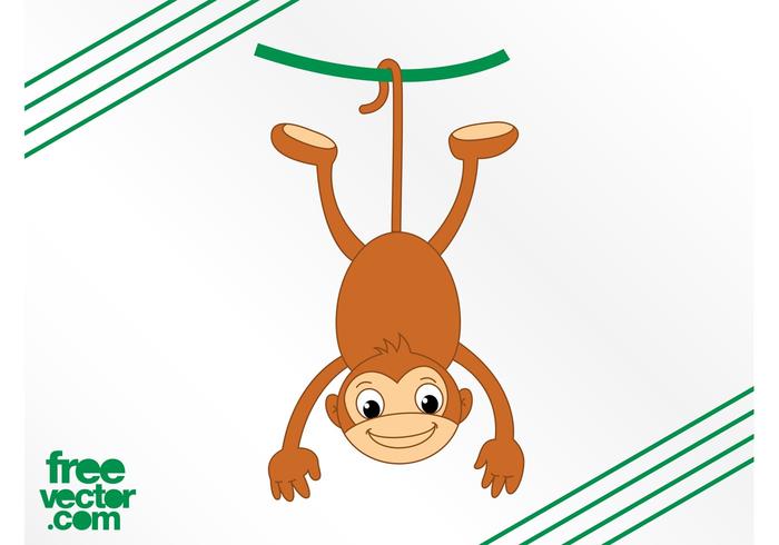 Monkey And Vine Monkey And Vine