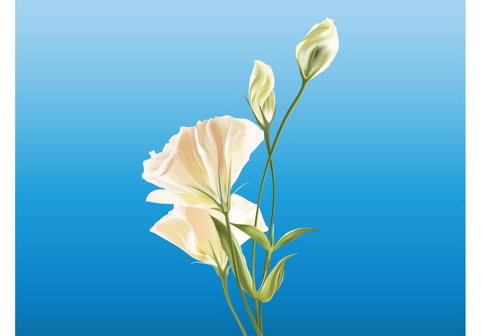 Realistic Flowers Realistic Flowers