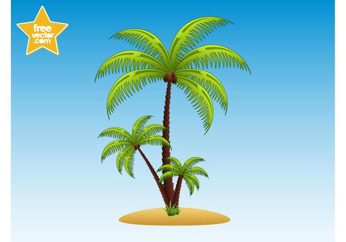 Palm Trees Illustration Palm Trees Illustration