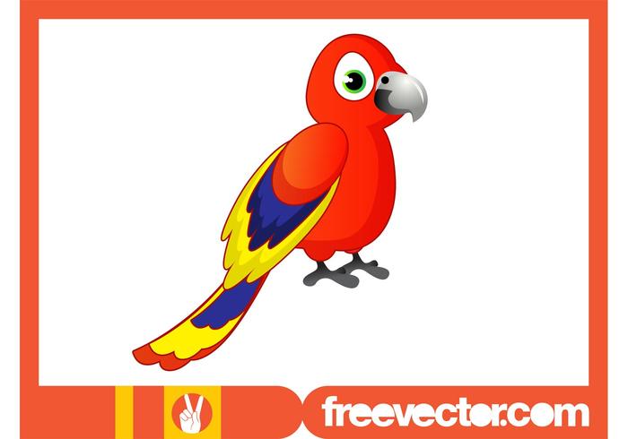 Cartoon Parrot