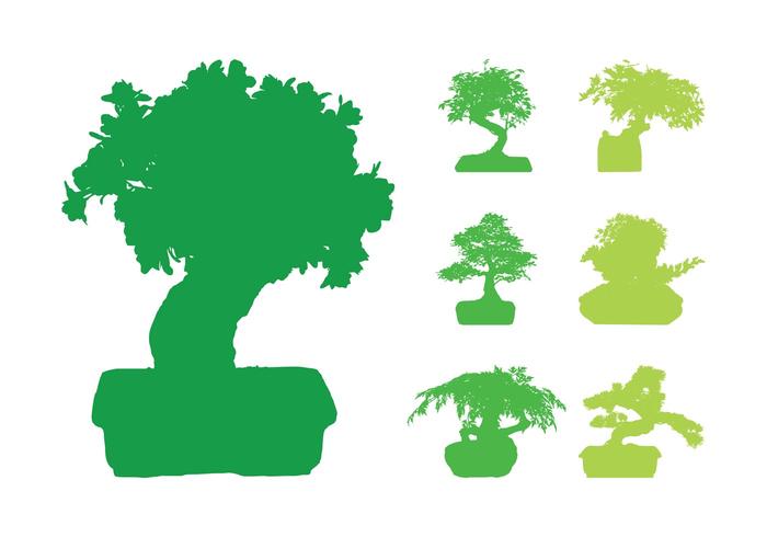 Bonsai Trees Silhouettes Bonsai Trees Silhouettes