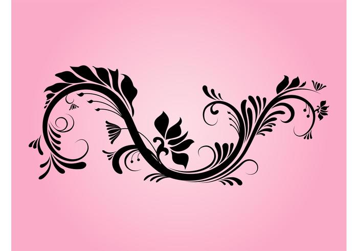 Decorative Floral Swirl Decorative Floral Swirl
