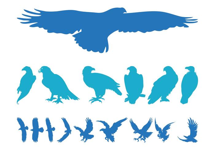 Eagles Silhouettes Set Eagles Silhouettes Set