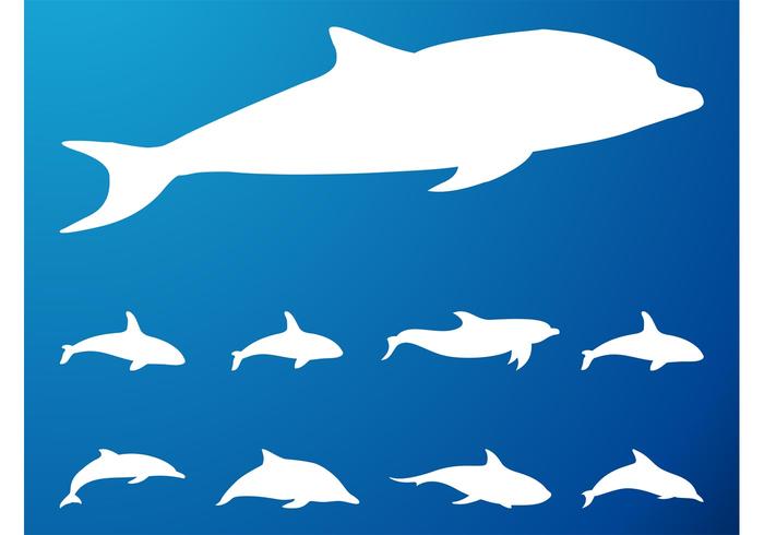 Dolphins Silhouettes Set Dolphins Silhouettes Set