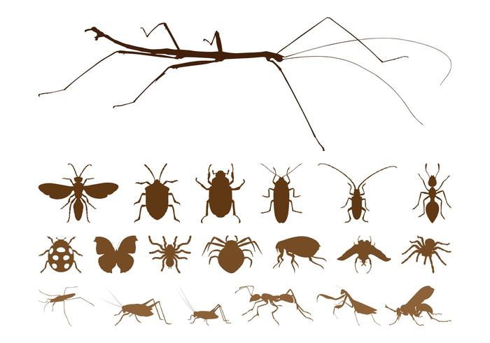 Insect Silhouettes Set Insect Silhouettes Set