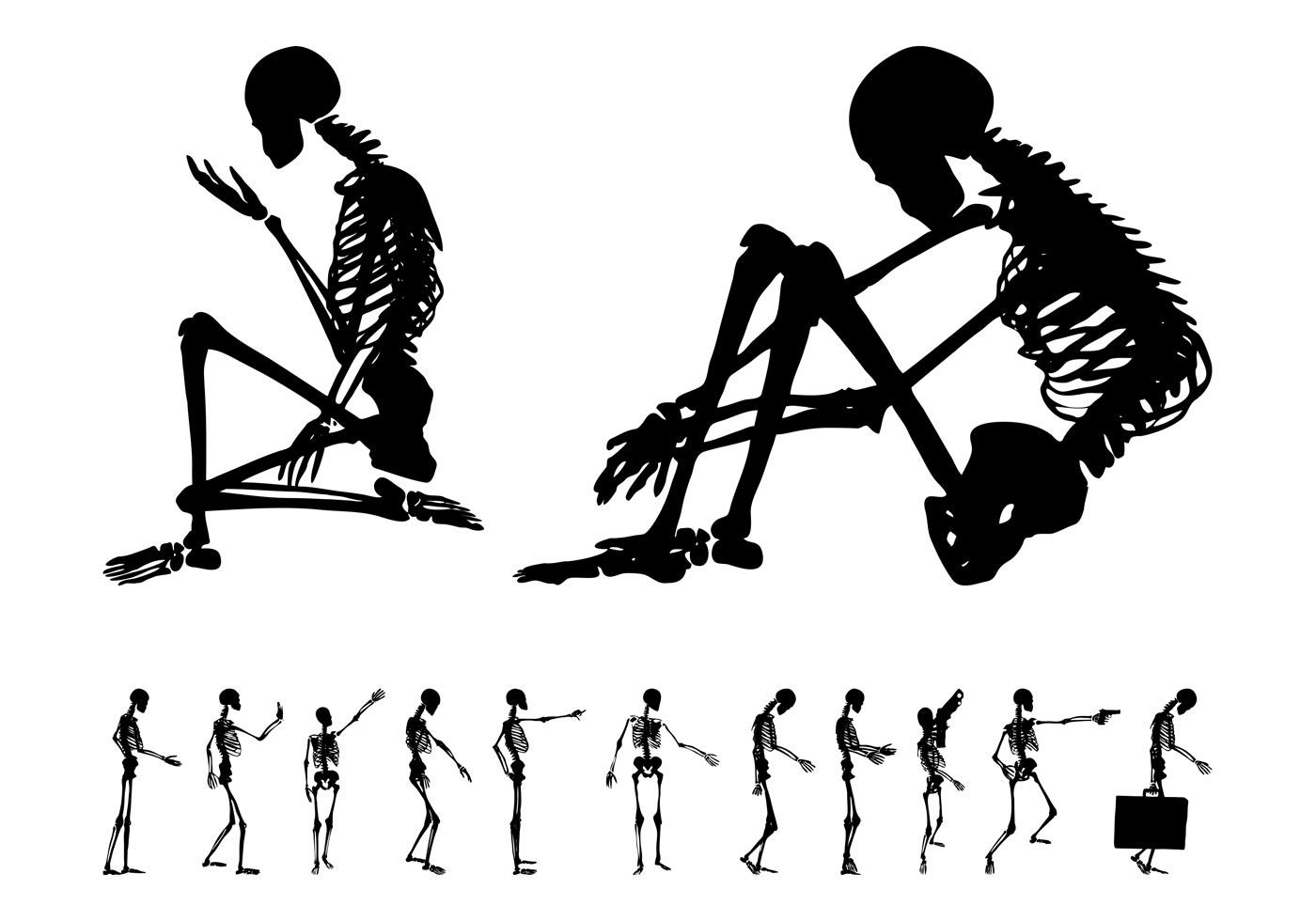 Download Human Skeleton Set - Download Free Vector Art, Stock ...