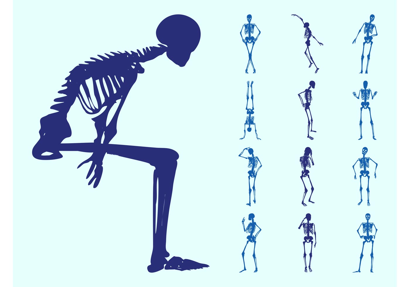 Human Skeletons Silhouettes - Download Free Vector Art, Stock Graphics