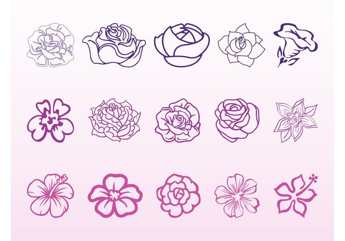 Flower Blossoms Graphics Set Flower Blossoms Graphics Set