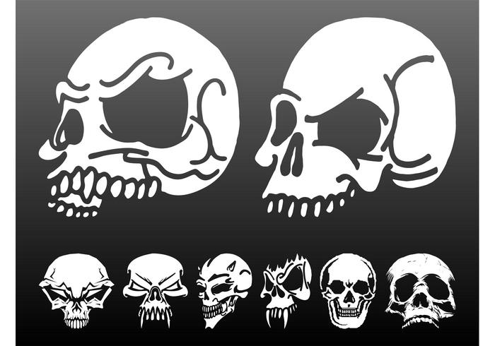 Skulls Vector Graphics Set Skulls Vector Graphics Set