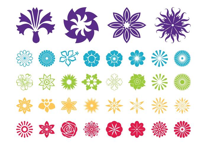 Flower Blossoms Vector Graphics