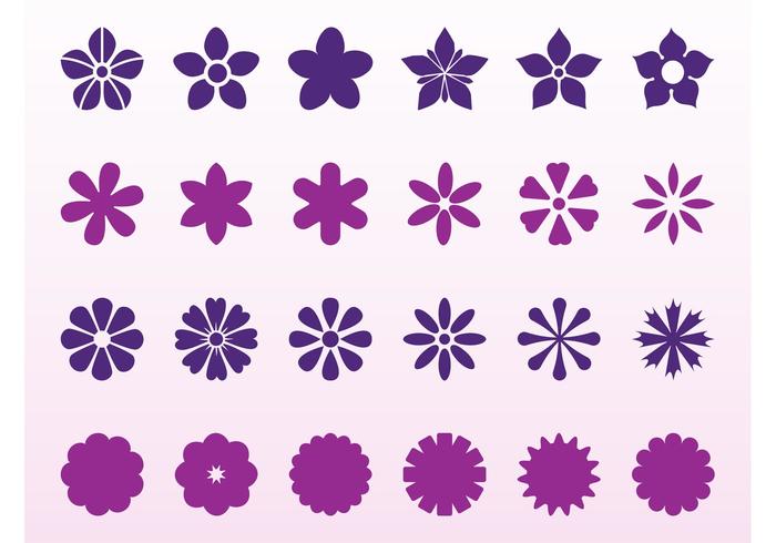 Flowers Blossoms Set Flowers Blossoms Set