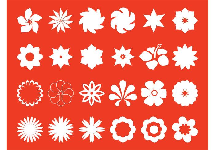 Floral Blossoms Set Floral Blossoms Set