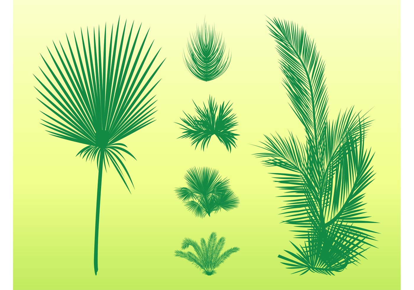 Download Palm Leaves Set - Download Free Vector Art, Stock Graphics ...