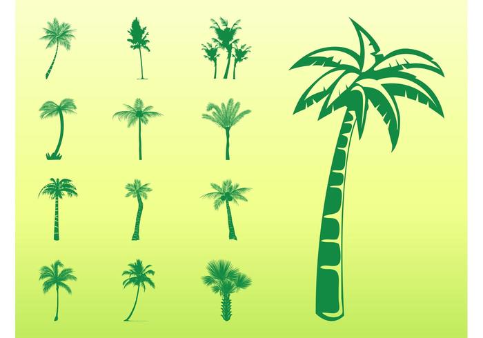 Palm Trees Silhouettes Set Palm Trees Silhouettes Set