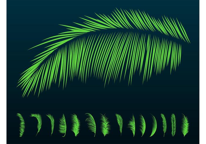 Palm Leaves Silhouettes