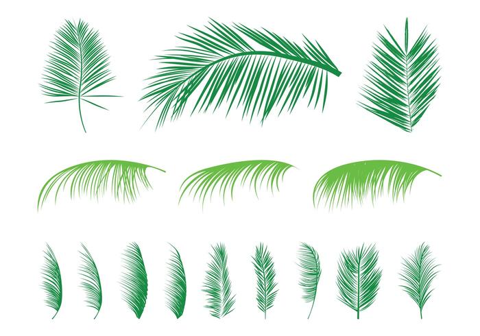 Palm Leaves Silhouettes Set