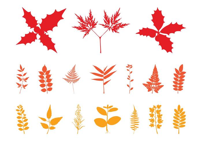 Autumn Leaves Silhouettes Autumn Leaves Silhouettes