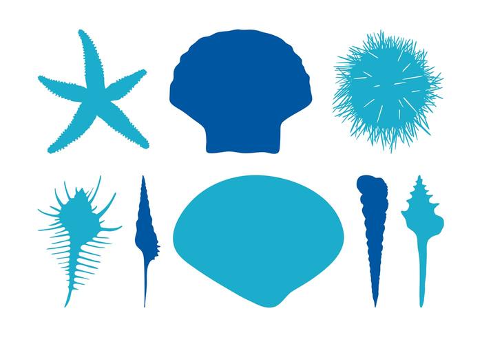 Seashells Silhouettes Seashells Silhouettes