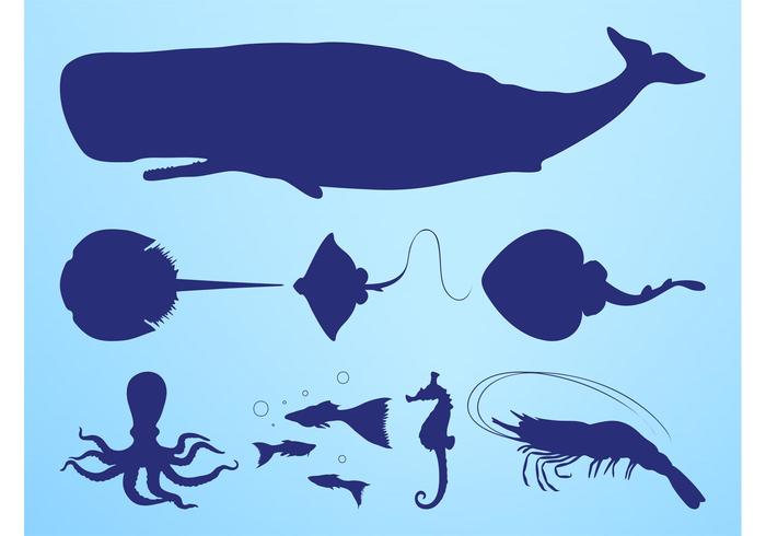 Sea Creatures Silhouettes Sea Creatures Silhouettes