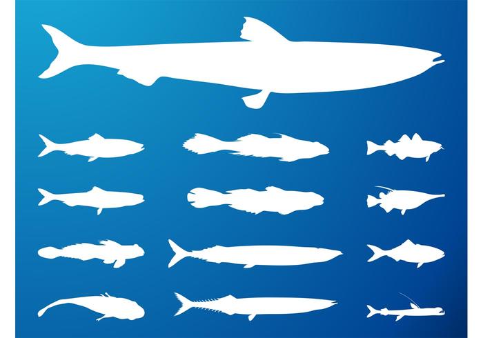 Fish Silhouettes Fish Silhouettes