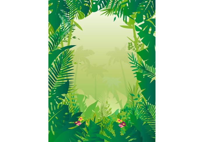 Jungle Background Jungle Background