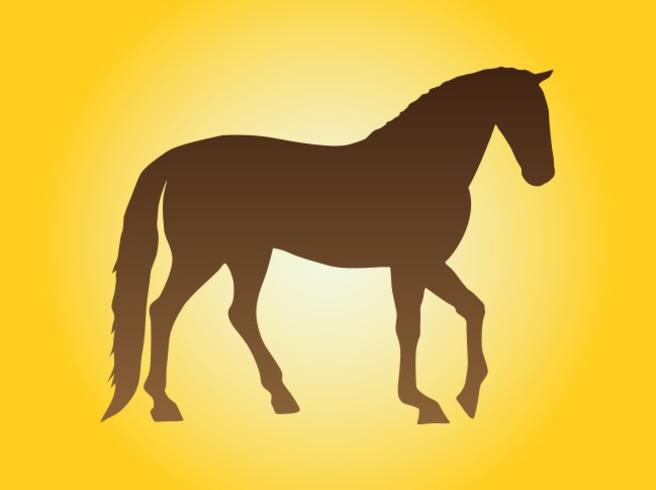 Horse Silhouette Image Horse Silhouette Image