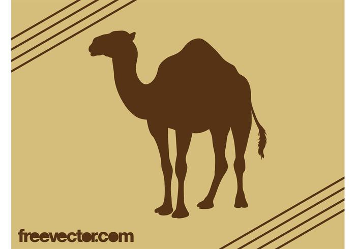 Camel Silhouette Vector