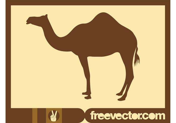 Camel Silhouette Graphics Camel Silhouette Graphics