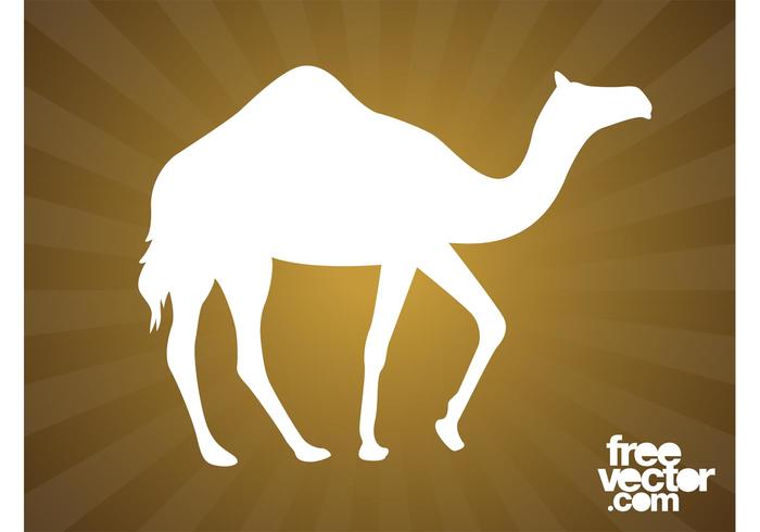 Walking Camel Silhouette Walking Camel Silhouette