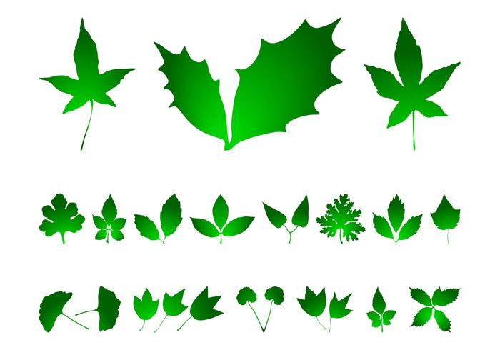 Leaves Graphics Pack